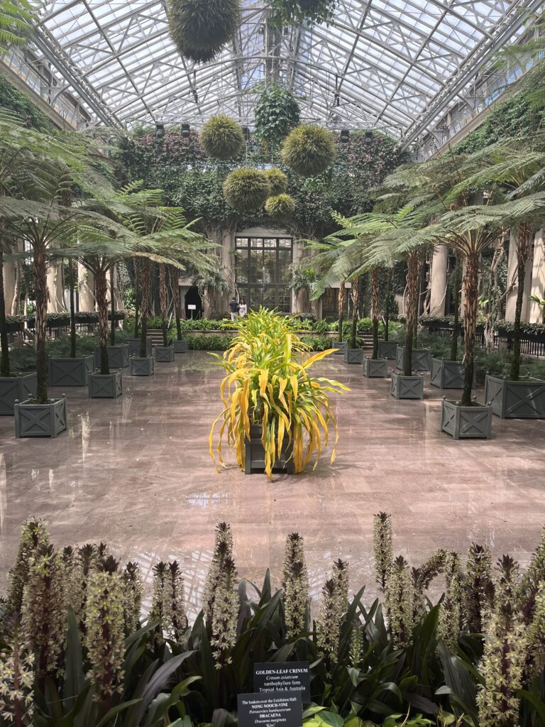 Longwood greenhouse interior